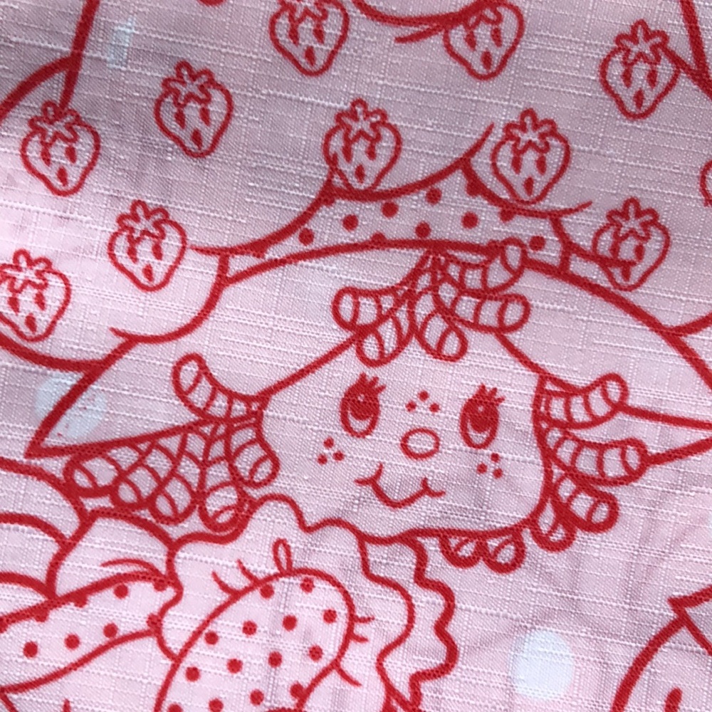 Strawberry Shortcake Shower Curtain Set - Picture 4 of 9